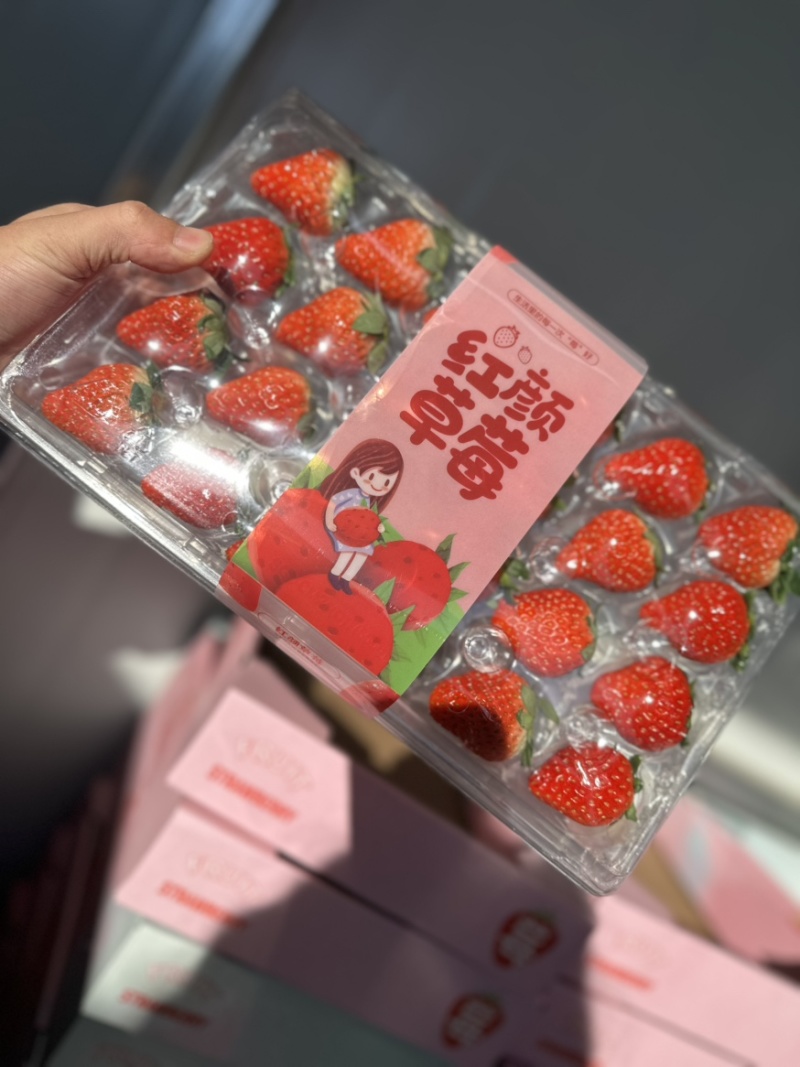 辽宁丹东九九草莓对接全国市场量大从优清甜可口欢迎采购