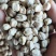 鹰嘴豆进口鹰嘴豆规格齐全当季新货颗粒饱满量大从优