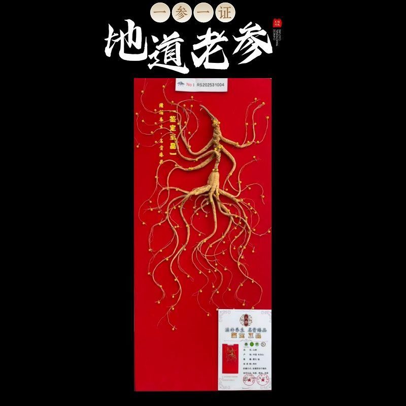 长白山正宗野生人参礼盒一等品林下参20克储藏送礼