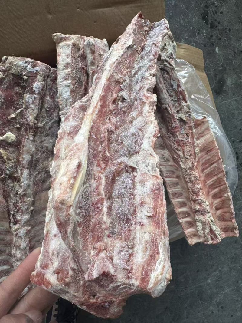 带排羊脊骨