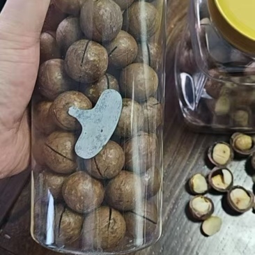 夏威夷果
