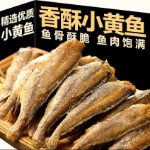 东海深海黄鱼鲜制！去头去刺低温脆炸，咔嚓一口咸香回甘
