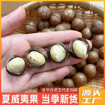 夏威夷果