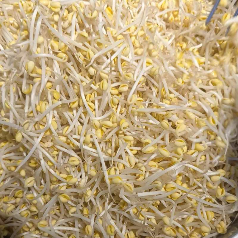 豆芽，黄豆芽
