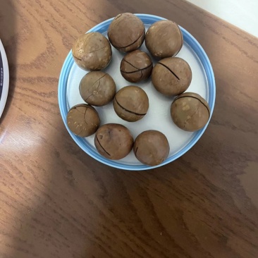 夏威夷果季节品可代发可批发有量