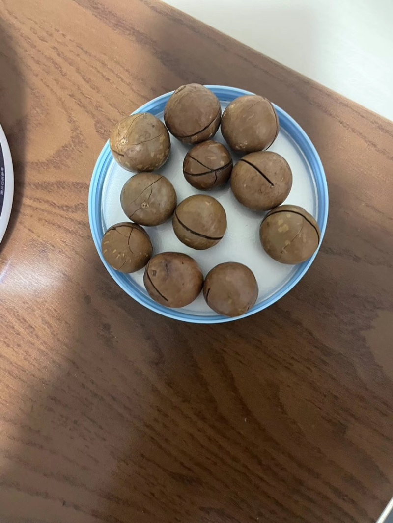 夏威夷果季节品可代发可批发有量