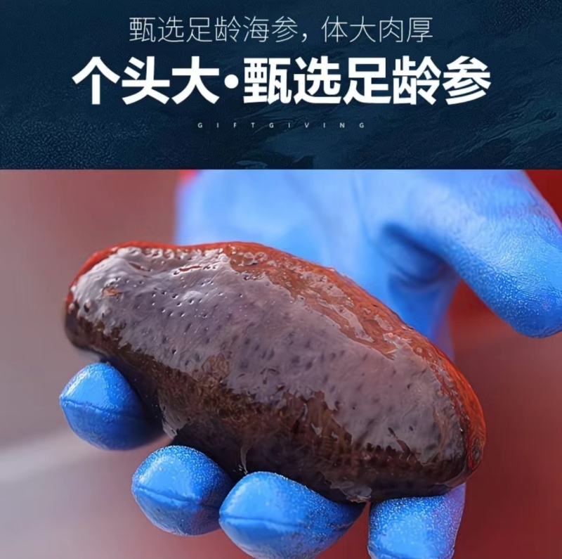 深海珍品红极参！肉质肥厚Q弹无沙，高蛋白低脂肪