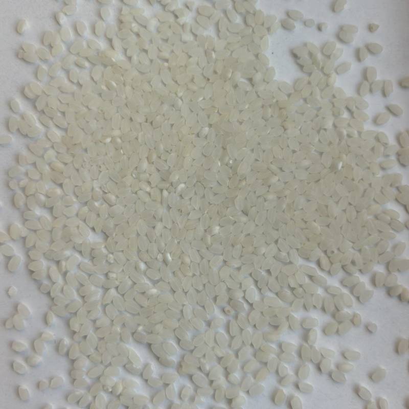 陈现货陈米