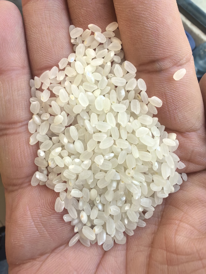 陈现货陈米