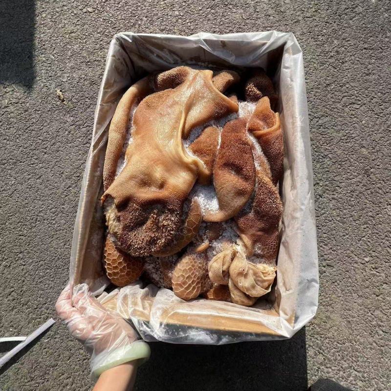 黄羊肚