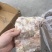 大日期肥猪前排10kg8片左右临期6吨临沂提货