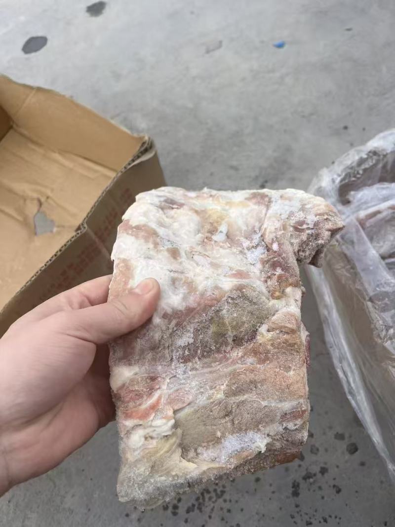 大日期肥猪前排10kg8片左右临期6吨临沂提货