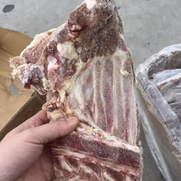 大日期肥猪前排10kg8片左右临期6吨临沂提货