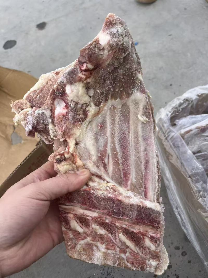 大日期肥猪前排10kg8片左右临期6吨临沂提货