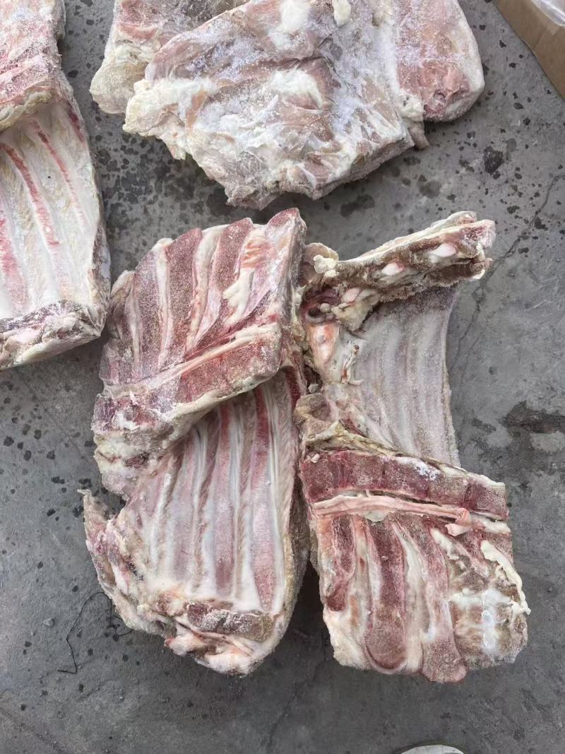 大日期肥猪前排10kg8片左右临期6吨临沂提货