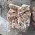 大日期肥猪前排10kg8片左右临期6吨临沂提货