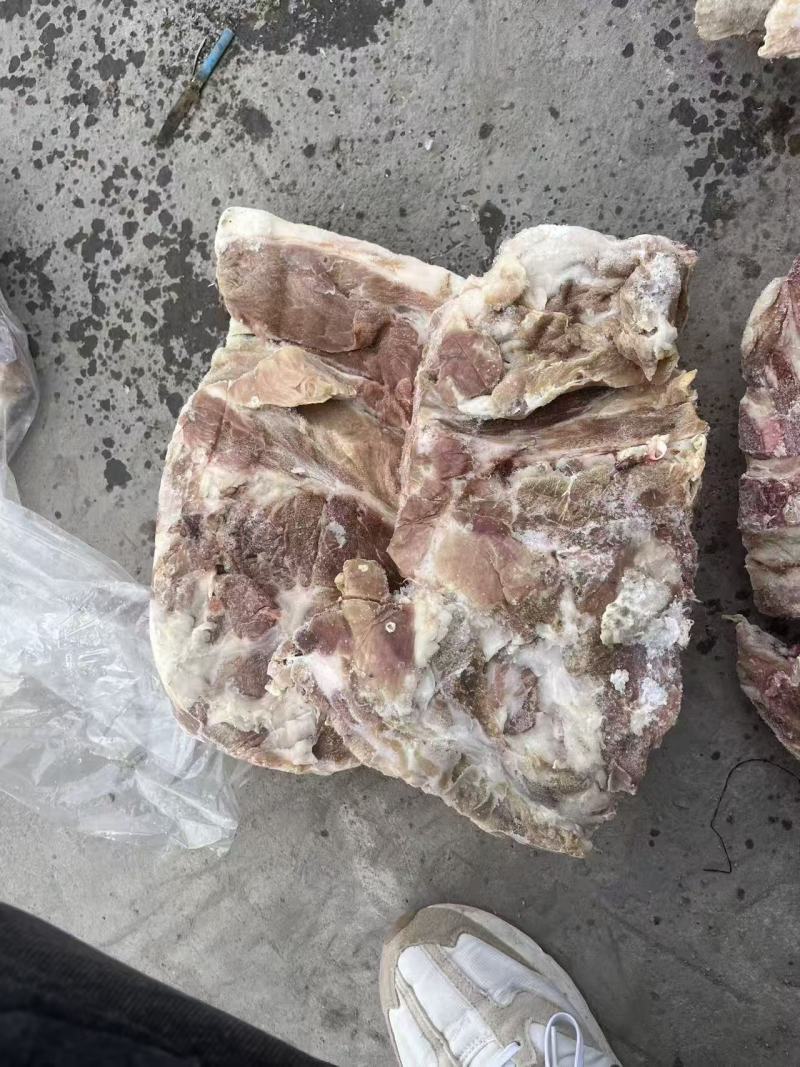 大日期肥猪前排10kg8片左右临期6吨临沂提货