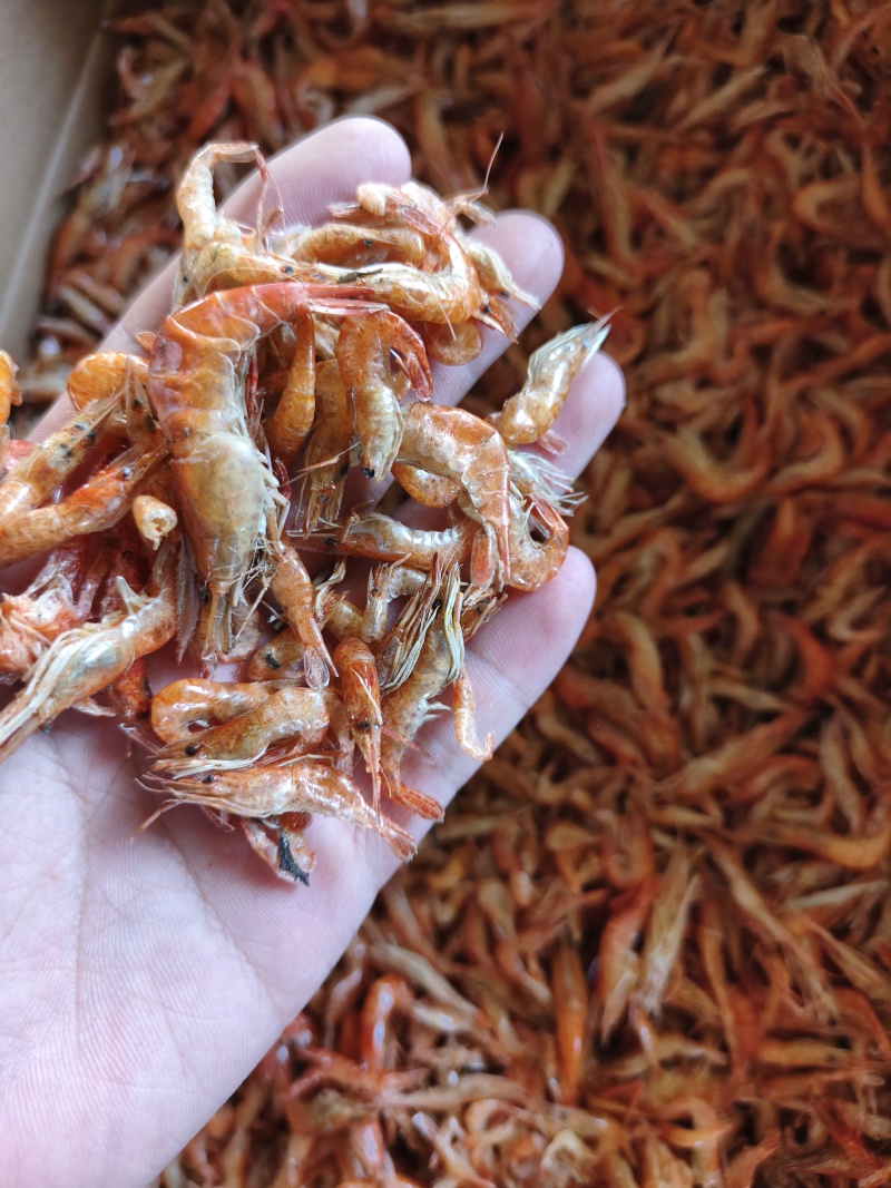 草虾红虾河虾干好虾批发，需要的详谈，说一亩田上看到的