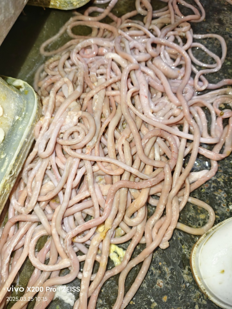 鹅肠，纯鹅肠，屠宰场发货，新鲜鹅肠，需要的老板找我联系