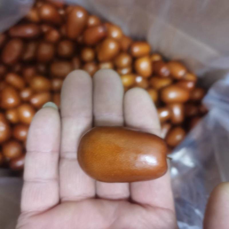 壶瓶枣