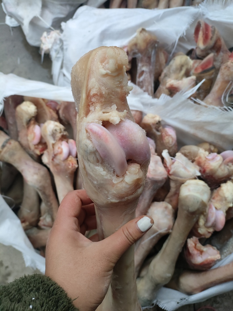 马长蹄子新货长蹄子