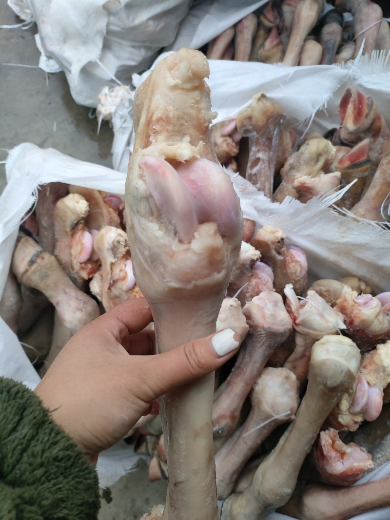 马长蹄子新货长蹄子