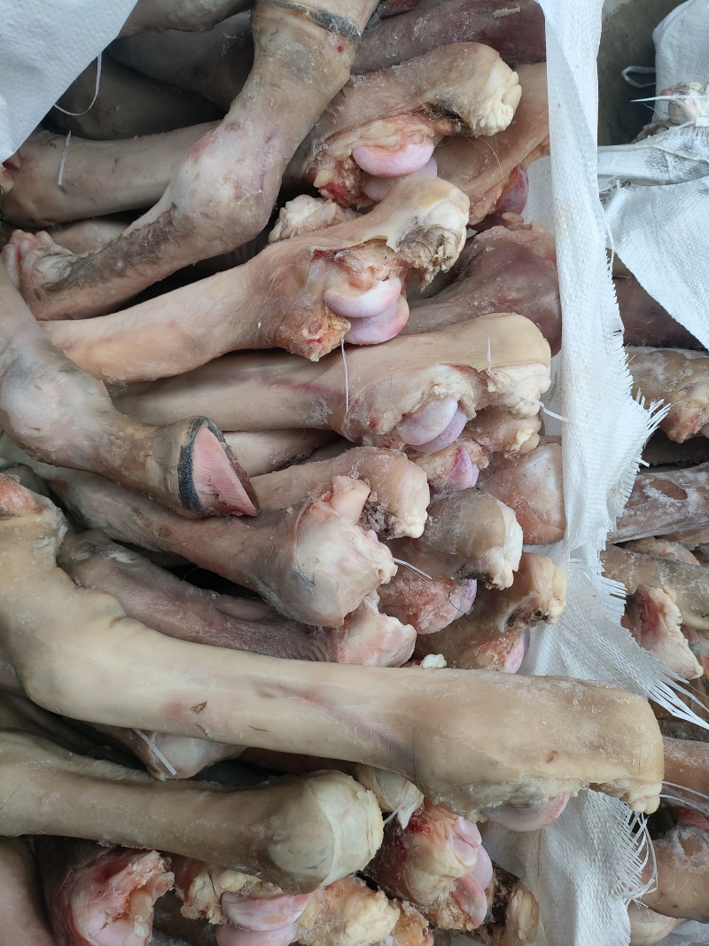 马长蹄子新货长蹄子