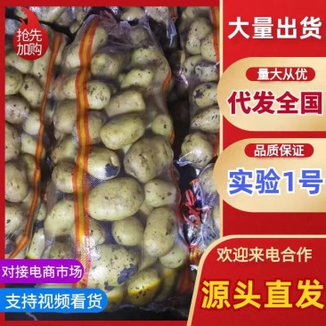 产地库存翻包干洗精品实验一，龙丹一，V7，大量出货中