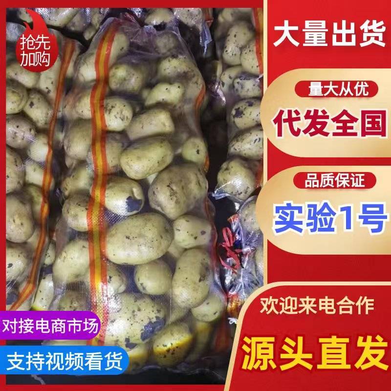 产地库存翻包干洗精品实验一，龙丹一，V7，大量出货中