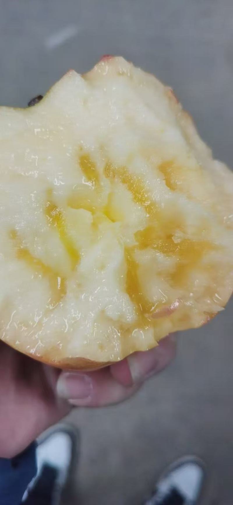 红富士苹果大量上市，产地直发，品质保证，服务周到