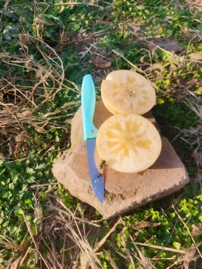 红富士苹果大量上市，产地直发，品质保证，服务周到