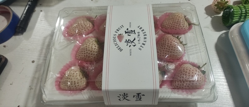 九九草莓