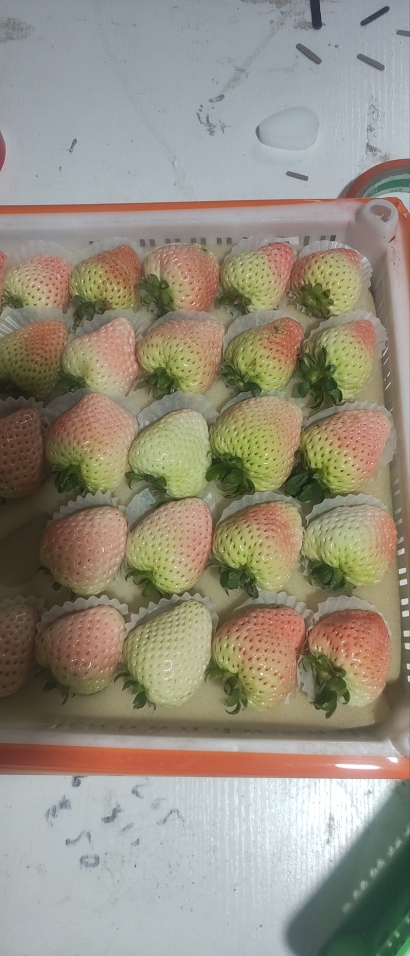 九九草莓