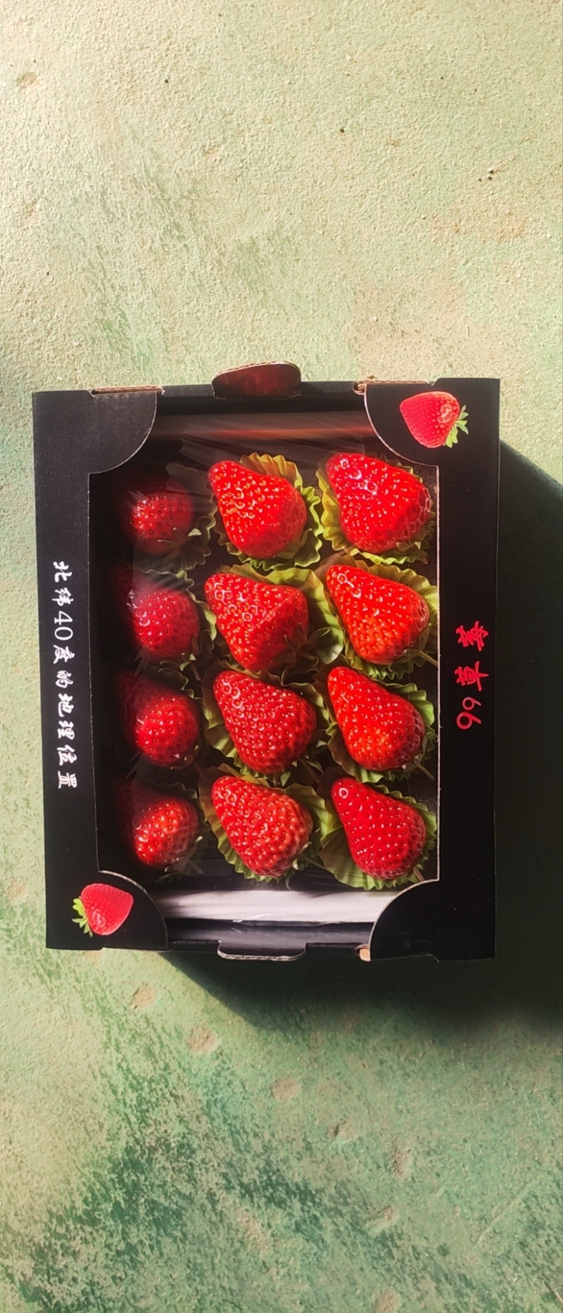 九九草莓