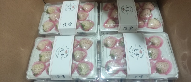 九九草莓