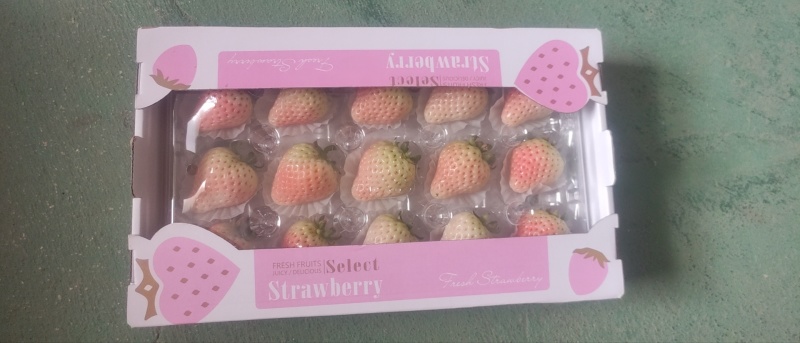 九九草莓