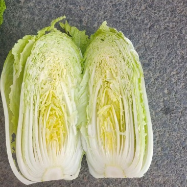 精品义和秋白菜黄心白菜大量上市品质保证量大从优