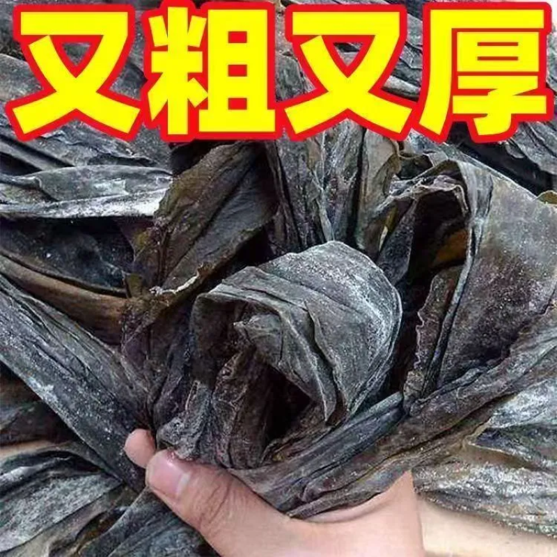 【新货海带】无盐海带干货福建霞浦干海带清仓商用批发日晒青