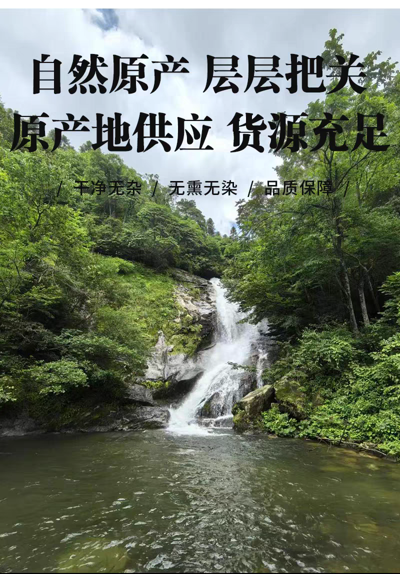 包邮）夏枯球中药材500g克新货夏枯球夏姑草野生