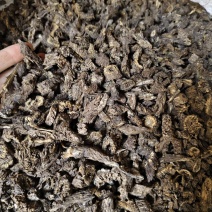 漏芦批发零售漏芦量大优惠