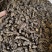 漏芦批发零售漏芦量大优惠