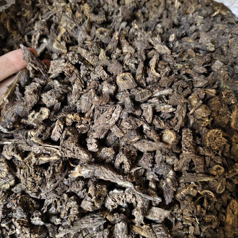 漏芦批发零售漏芦量大优惠