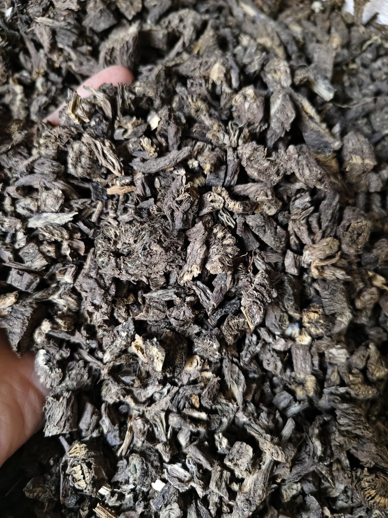漏芦批发零售漏芦量大优惠
