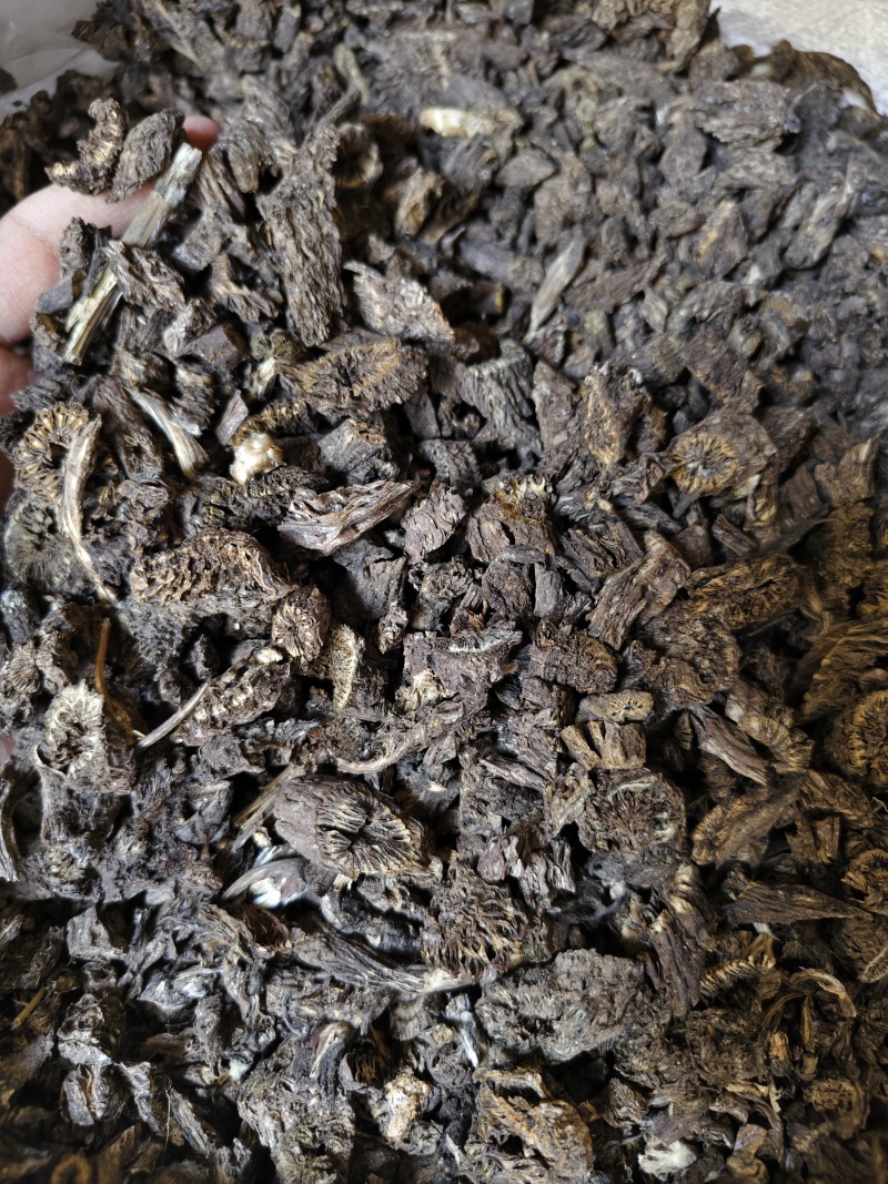 漏芦批发零售漏芦量大优惠