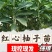 柚子苗琯溪蜜柚苗,包技术包活保品种,死苗包赔现挖现发基地