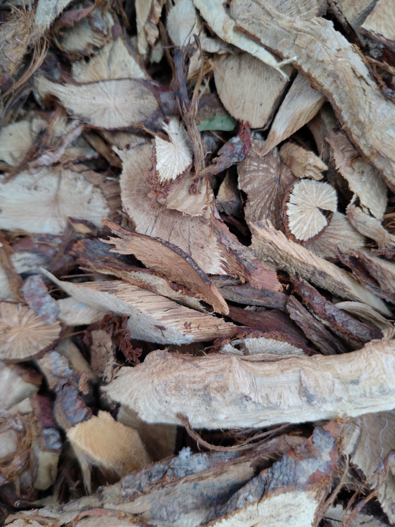 江西野生金樱根别名（红刺根）切片晒干产地直发