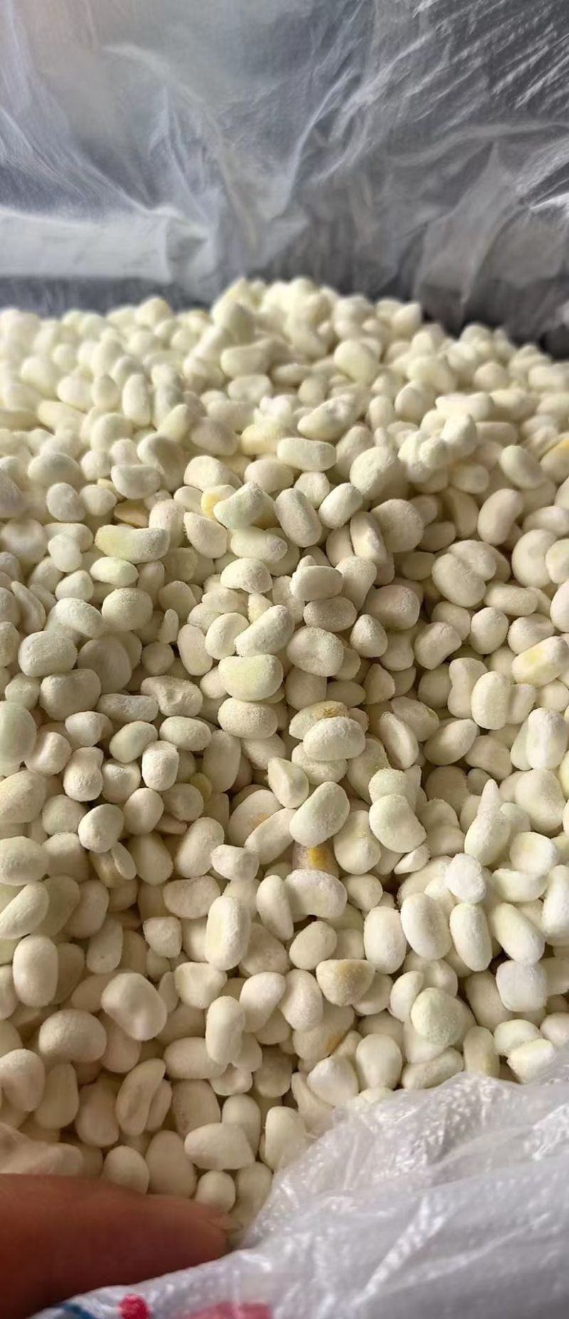 东北脱皮玉米粒保质保量供应价钱实惠视频看货