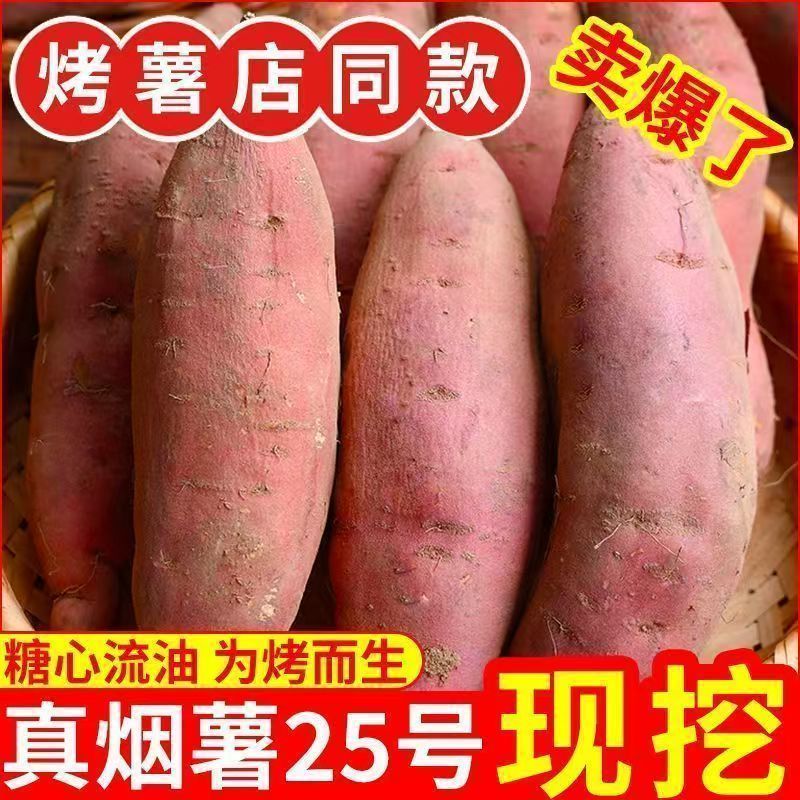 烟薯山东正宗25蜜薯糖心番薯地瓜农家山芋新鲜沙地现挖流油