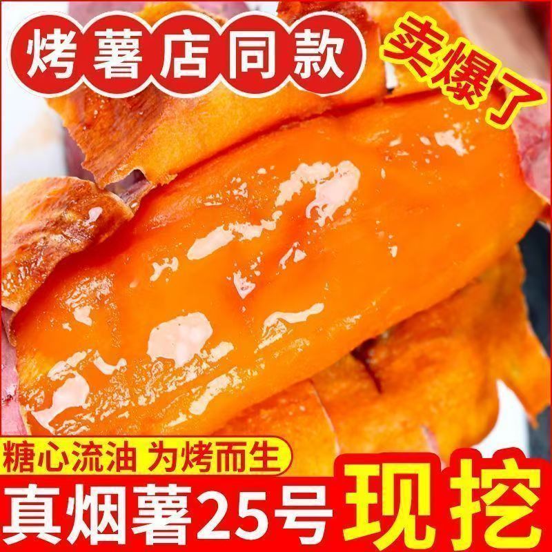 烟薯山东正宗25蜜薯糖心番薯地瓜农家山芋新鲜沙地现挖流油