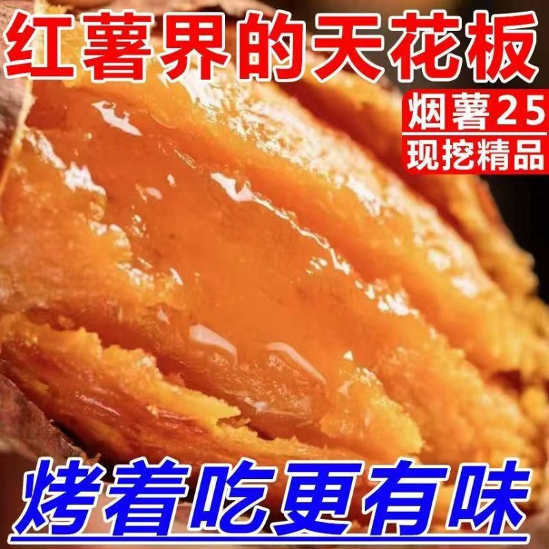 烟薯山东正宗25蜜薯糖心番薯地瓜农家山芋新鲜沙地现挖流油